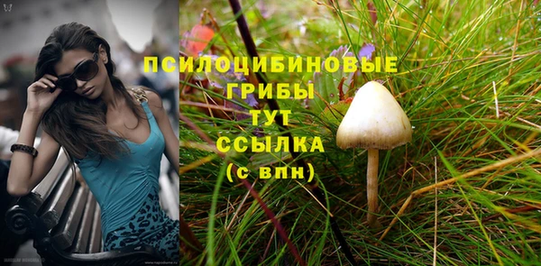 PSILOCYBIN Дмитровск